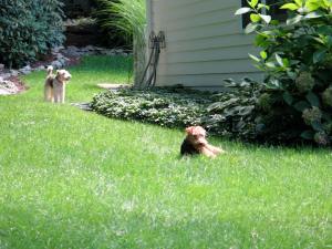 Looking at the hose wishing to get squirted